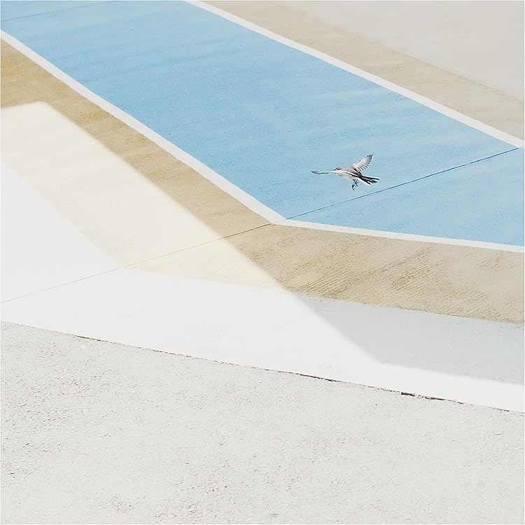 Amazon.co.jp: 陽気な休日[初回完全限定生産] - グソクムズ [Analog