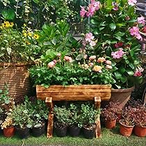 81A6XpARasL._AC_UL210_SR210,