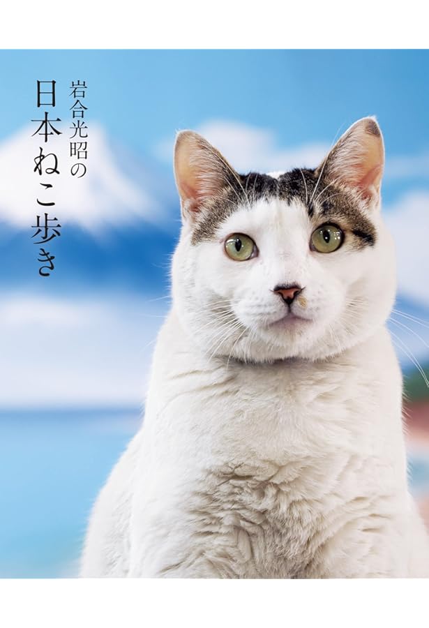 Amazon.co.jp: 岩合光昭の日本ねこさがし : 岩合 光昭: 本