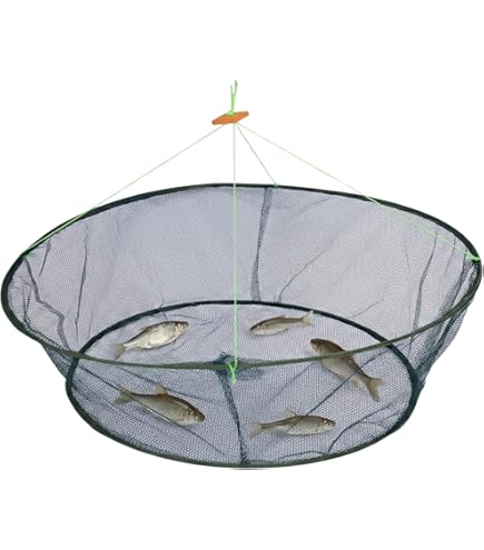 川魚取籠 Amazon | UPstore 魚捕り カゴ もんどり 仕掛け 網カゴ 開口337cn 高さ