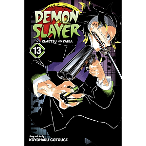 Demon Slayer: Kimetsu no Yaiba, Vol. 13: Transitions (English Edition)