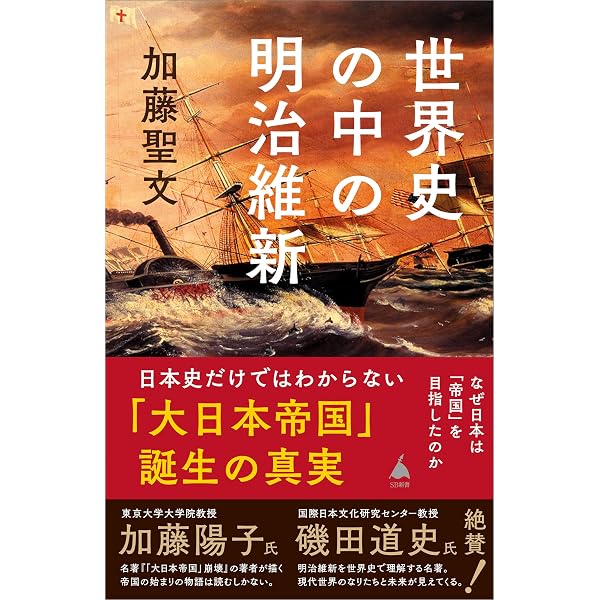 Amazon.co.jp: 新書 世界現代史 なぜ「力こそ正義」はよみがえったのか