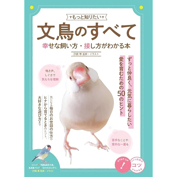 Amazon.co.jp: もっと知りたい文鳥のこと。 HAPPYブンチョウ生活の