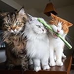 猫 iPad壁紙 2024 MARCO's CAT CALENDAR  猫 iPad壁紙 2024 MARCO's CAT CALENDAR