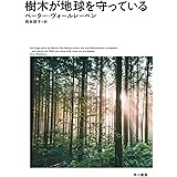 樹木が地球を守っている