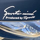 Ｓｐｏｒｔｓ ｍｉｎｄ 車 バイク ステッカー デカール シール 汎用 サイド ドレスアップ スポーツマインド sports mind 全8カラー 4サイズ (全文字ホワイトシルバー, Mサイズ 25×9.5cm)