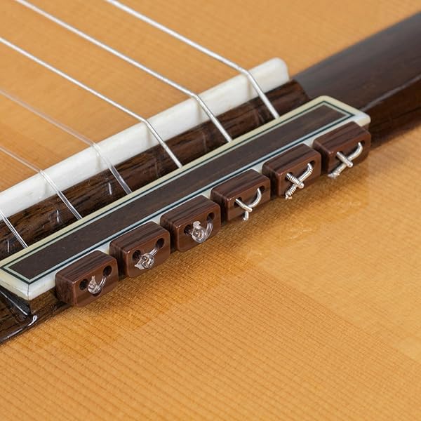 Amazon.co.jp: Crossrock デラックスグラスファイバークラシック