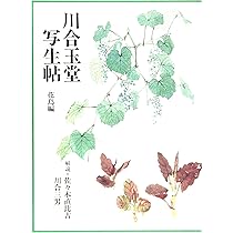 81AQuj4pXFL._AC_UL210_SR210,