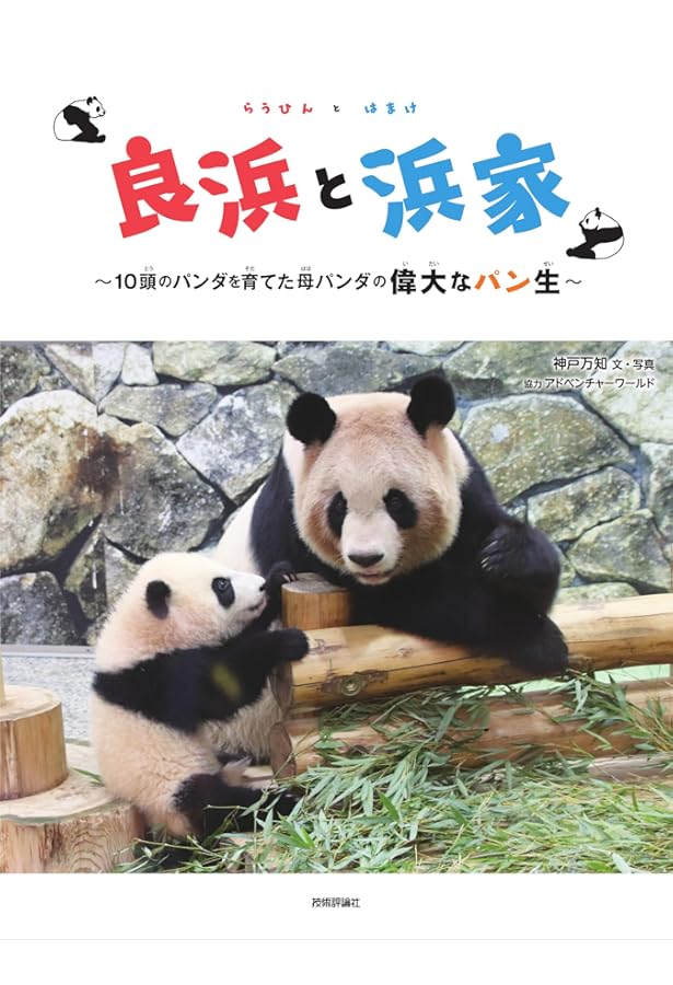 ADVENTURE WORLD PANDAS ハロー彩浜とパンダファミリー | 小澤 千一朗