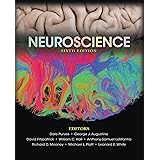 Neuroscience