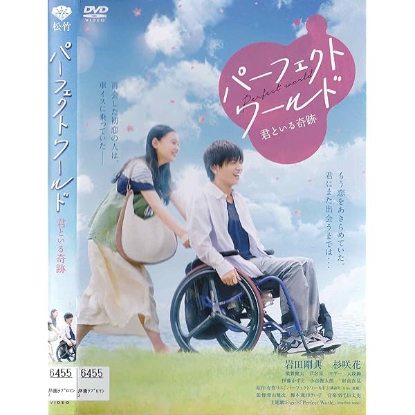 Amazon.co.jp: パーフェクトワールド DVD BOX : 松坂桃李, 山本美月: DVD