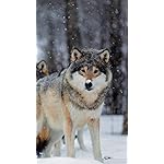 オオカミ iPhone SE/8/7/6s(750×1334)壁紙 Wolves 2021 (Wonderful World)  オオカミ iPhone SE/8/7/6s(750×1334)壁紙 Wolves 2021 (Wonderful World)