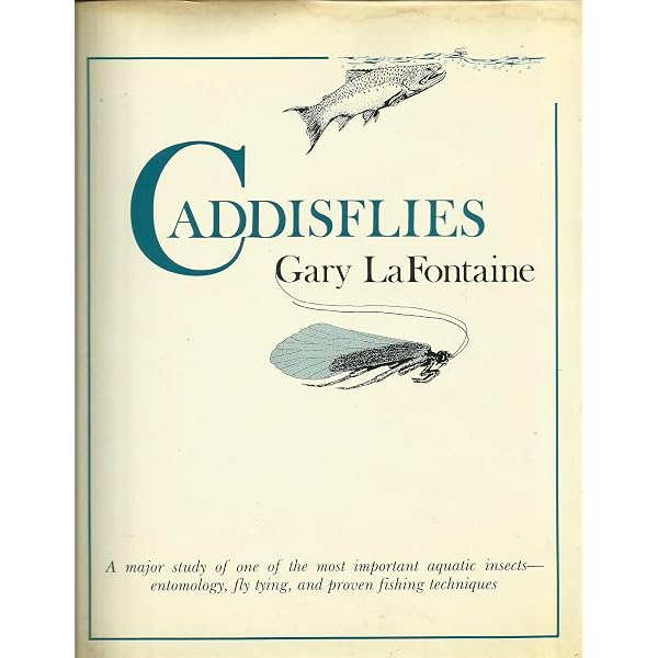 Amazon | Dry Fly: New Angles | Lafontaine, Gary | Fishing