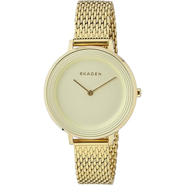 Amazon.co.jp: Skagen SKW2377 Holst ゴールドメッシュウォッチ