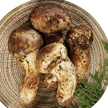フレッシュ松茸・宝もっちり Amazon.co.jp: まつたけ 松茸 マツタケ 中国産松茸 約200g 市場