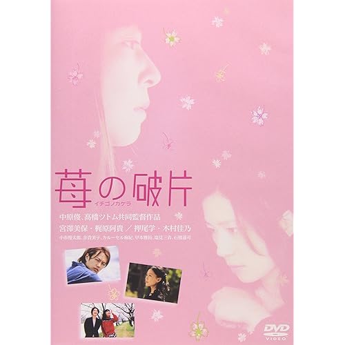 苺の破片（イチゴノカケラ）