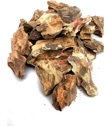 黄虎石　まとめ売り Amazon | 気孔石 黄虎石 蜂炎石 100-150㎜ 形状お任せ 3個 水槽 花壇