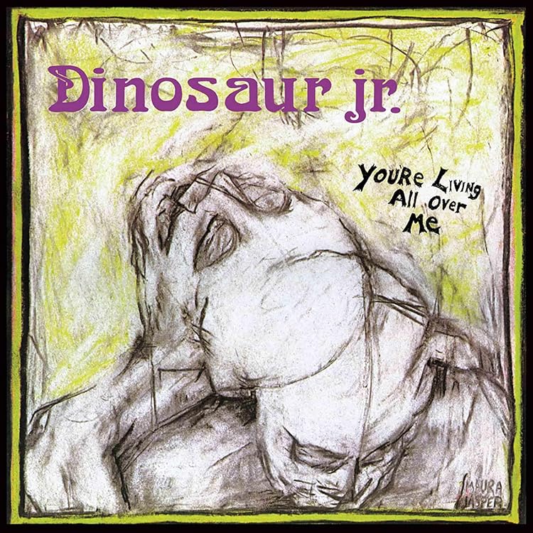 little wings DVD dinosaur jr ダイナソー jr little wings DVD dinosaur jr ダイナソー jr little wings DVD