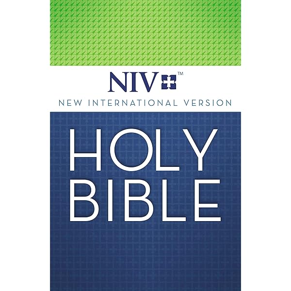 HOLY BIBLE 聖書（洋書） King Of Kings Holy Bible Clarified Edition 1958 Gold Big