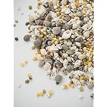 Amazon.co.jp: 【貝殻の問屋さん】小さな小さな貝殻のミックス