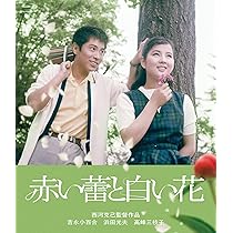 吉永小百合　17作品　ガラスの中の少女　つる　潮騒　青い山脈　など　レンタル落ち 吉永小百合 17作品 ガラスの中の少女 つる 潮騒 青い山脈 など