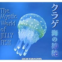 81BA1ZwlosL._AC_UL210_SR210,