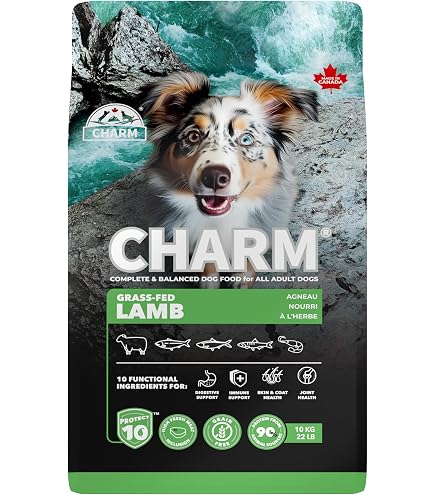 CHARM 草-fedラム ドッグフード Amazon.co.jp: Charm Grass Fed Lamb Dog Food 12 oz (340 g) : Pet