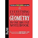 Everything You Need to Ace Geometry in One Big Fat Notebook (Big Fat Notebooks)
