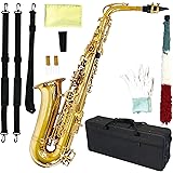 アルトサックス 11点セット E Saxophone ゴールドラッカー ケース付き 彫刻入り 初心者 サックス 入門セット