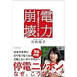 電力崩壊 戦略なき国家のエネルギー敗戦