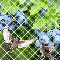 鳩ページ10/3まで cf0320a1821403d92a3c57def68892