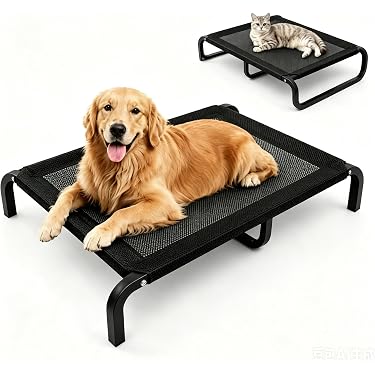 Amazon.co.jp 最新リリース: 犬用ベッド・クッション の新着ランキング