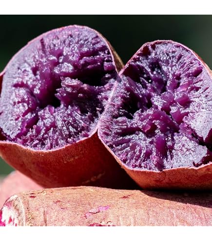 Amazon.co.jp: 【焼き芋屋の紫芋】訳あり ふくむらさき さつまいも 紅