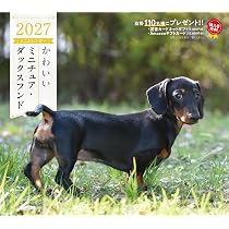 2027年カレンダー かわいいミニチュア・ダックスフンド（誠文堂新光社