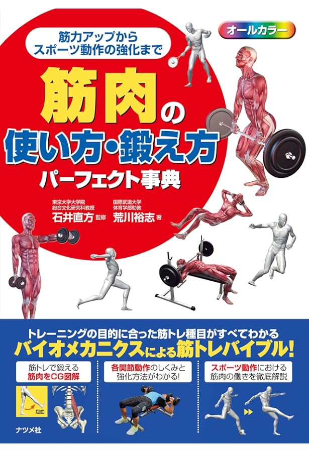 図解 スポーツトレーニングの基礎理論 | 横浜市スポーツ医科学センター