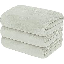 Amazon.co.jp: 【Amazon.co.jp限定】 レック 激落ちくん マイクロ