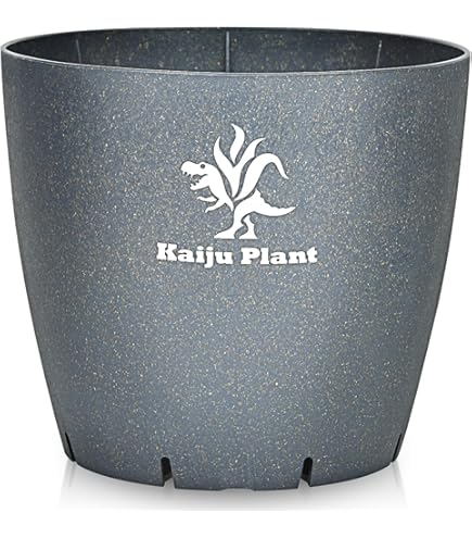 鶴仙園 spicygem F-LAGSTUF-F 4studs 鉢 中古 Amazon.co.jp: spicygem F-LAGSTUF-F 鶴仙園 鉢 トリプルコラボ