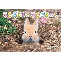 うさぎじまのうさぎちゃん | ゆうき えつこ |本 | 通販 | Amazon