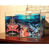 超貴重！60ｃｍ水槽用リアルバックスクリーン Amazon | AQUAGraphiX 水槽バックスクリーン AG-007 潜水 60cm用