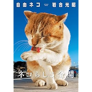 岩合光昭 写真集 「自由ネコ」の表紙