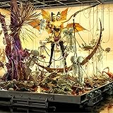 KicK iii [解説書付 / 国内仕様輸入盤CD] (XL1222CDJP)