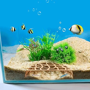 Amazon.co.jp ほしい物ランキング: 水槽用装飾テーマオーナメント で