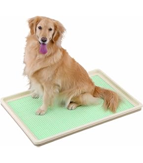 Amazon.co.jp: Amazonベーシック 犬 ペットケージ 折りたたみ