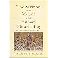 Sermon on the Mount and Human Flourishing: A Theological Commentary