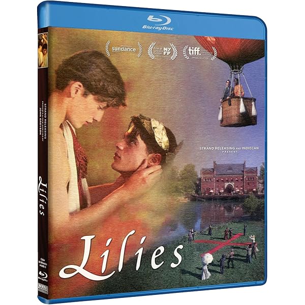 Amazon.co.jp | MYSTERIOUS SKIN DVD・ブルーレイ