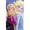 『アナと雪の女王』アナ,エルサ ディズニー - 『アナと雪の女王』アナ,エルサ FVGA(480×800)壁紙 40541