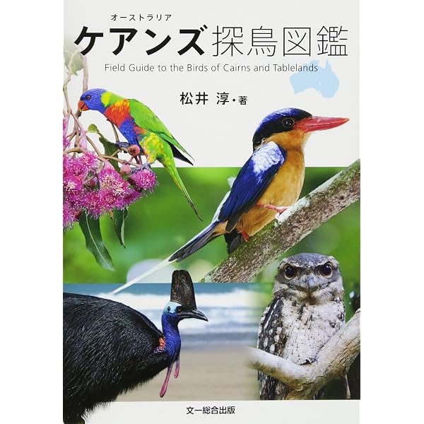 Amazon.co.jp: beauty in the nature セキセイインコ、オカメインコが