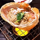 日本海産 紅ズワイガニ 甲羅盛り カニ味噌 カニの身入 50g×10個入 / 個包装 紅ずわい100％ 添加物不使用 / かにみそ 蟹味噌 かにの身入りかにみそ おつまみ 珍味 ディップ 味噌ディップ