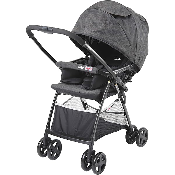 joie sma baggi stroller