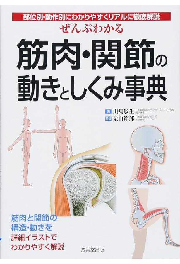 マッサージのための機能解剖学―学習と臨床に役立つ | Cindy Moorcroft